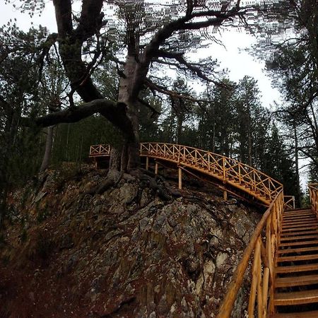 500М. От Лифта Сладък Дом В Белведере Спа Комплекс Bansko Ngoại thất bức ảnh